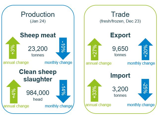 infographic showing uk sheep trade and production